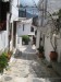 Skopelos town (33)